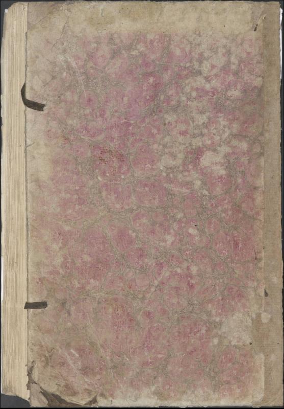 Krinčino Romos katalikų parapijos bažnyčios 1837–1839 metų priešjungtuvinės apklausos knyga