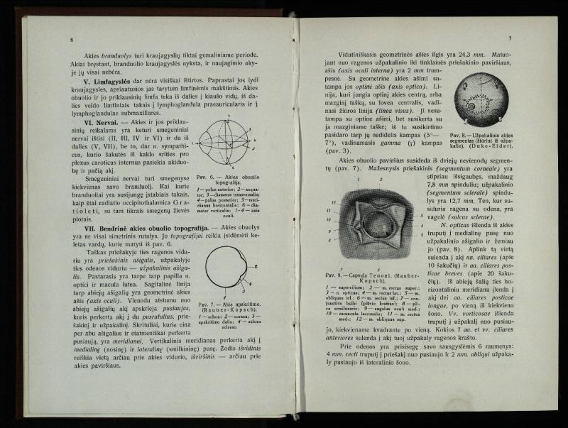 Akių ligų vadovas / Petras Avižonis. – Kaunas: Medicinos fakultetao leidinys, 1940. – VIII, 841, [2] p., 18 iliustr. lap.