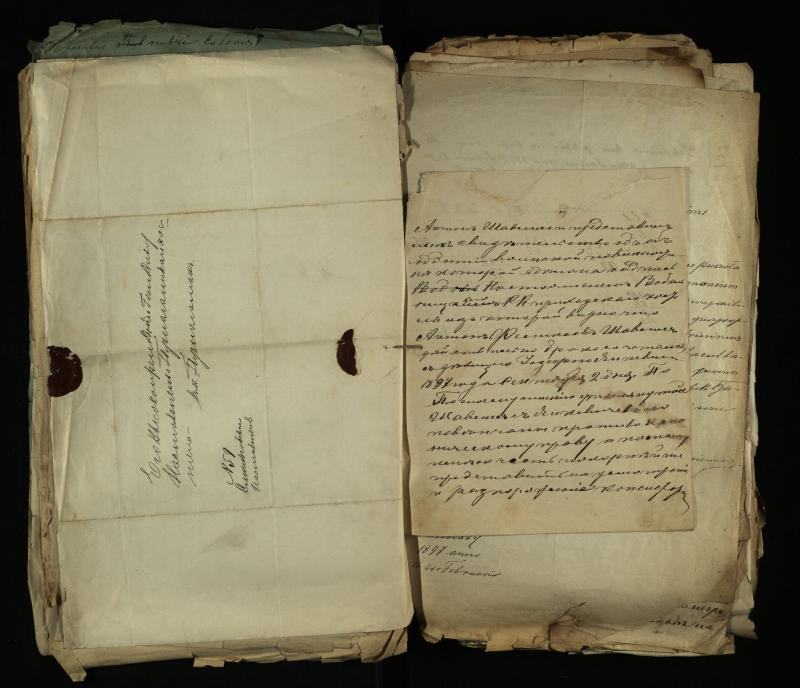 Pušaloto Romos katalikų parapijos bažnyčios 1884–1900 metų gaunamų raštų knyga