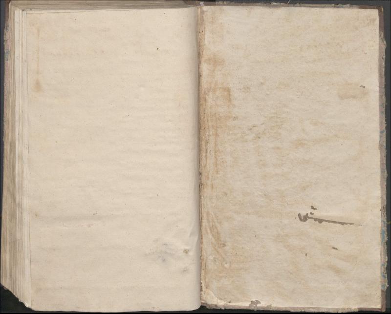 Krinčino Romos katalikų parapijos bažnyčios 1840–1844 metų priešjungtuvinės apklausos knyga