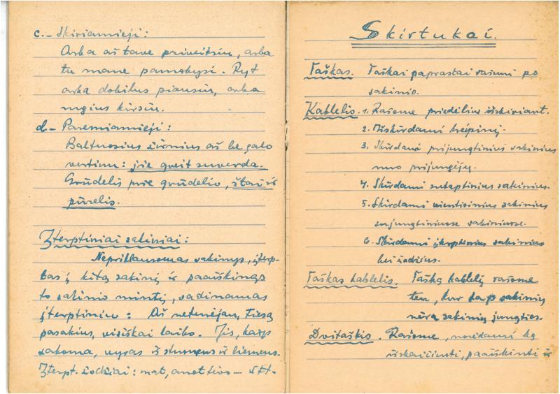 Rašytojo, savaitraščio „Tėviškės Žiburiai“ redaktoriaus Česlovo Senkevičiaus konspektai „Lietuvių kalbos sintaksė“