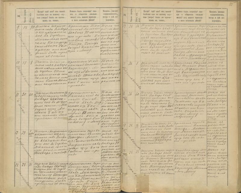 Pasvalio Romos katalikų parapijos bažnyčios 1894–1907 metų mirties metrikų knyga