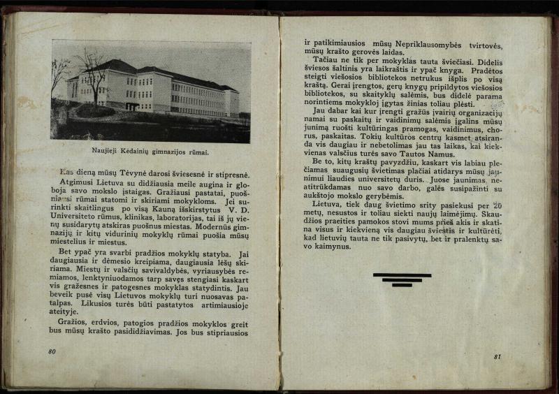 Naujoji Lietuva