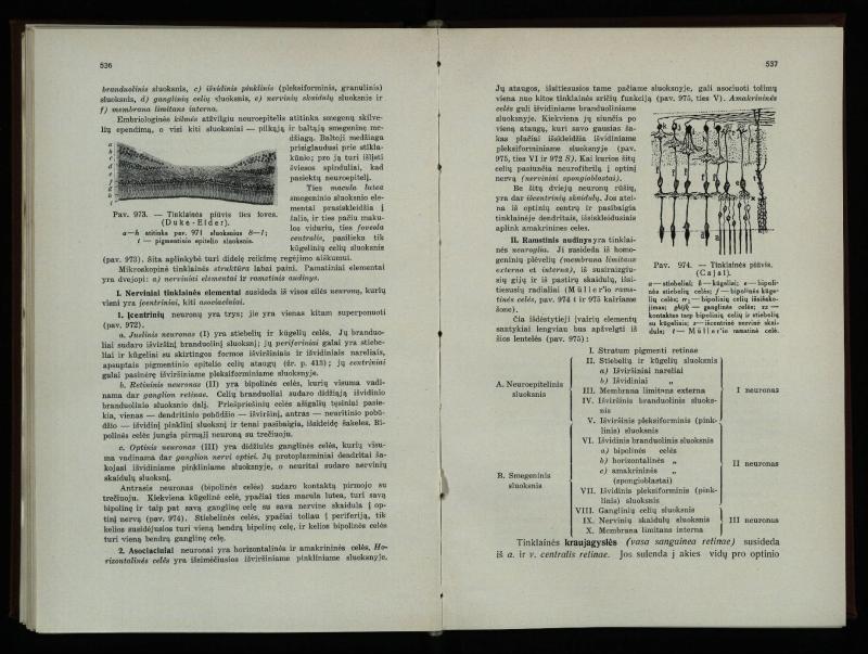 Akių ligų vadovas / Petras Avižonis. – Kaunas: Medicinos fakultetao leidinys, 1940. – VIII, 841, [2] p., 18 iliustr. lap.