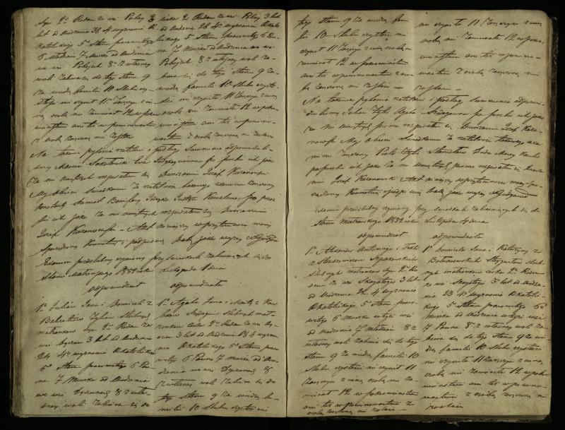 Pušaloto Romos katalikų parapijos bažnyčios 1847–1855 metų priešjungtuvinės apklausos knyga