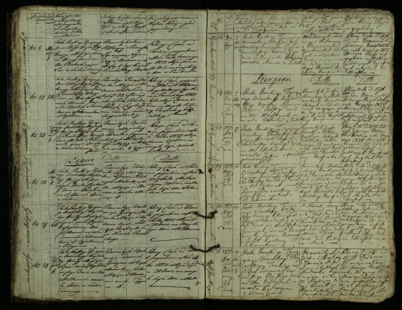 Pušaloto Romos katalikų parapijos bažnyčios 1828–1834 metų mirties metrikų knyga