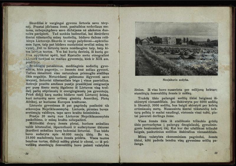 Naujoji Lietuva