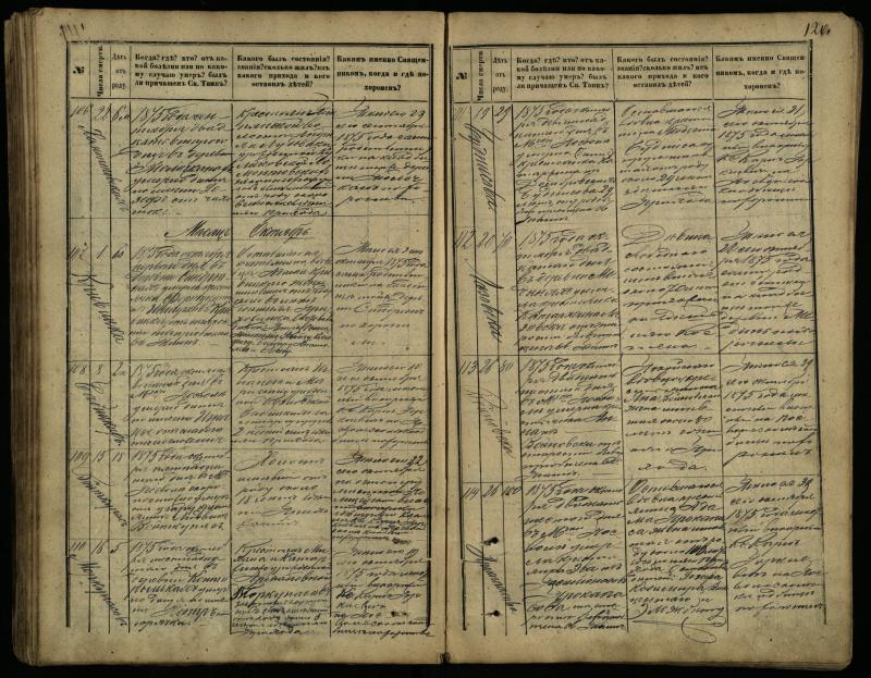 Pasvalio Romos katalikų parapijos bažnyčios 1866–1881 metų mirties metrikų knyga