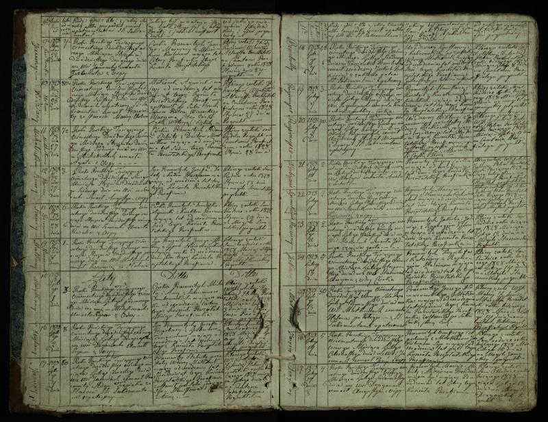 Pušaloto Romos katalikų parapijos bažnyčios 1828–1834 metų mirties metrikų knyga