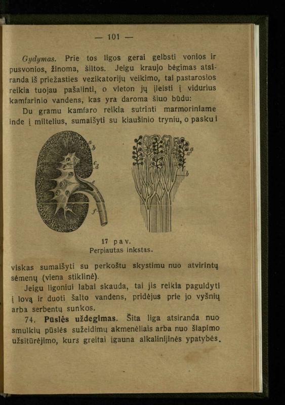 Naminis gydytojas: trumpas paprasčiausių ligų aprašymas ir jų gydymas / d-ras A. Vileišis. – 2-asis patais. leid. – Kaunas: „Švyturio“ b-vės leidinys, 1924. – 143 p.