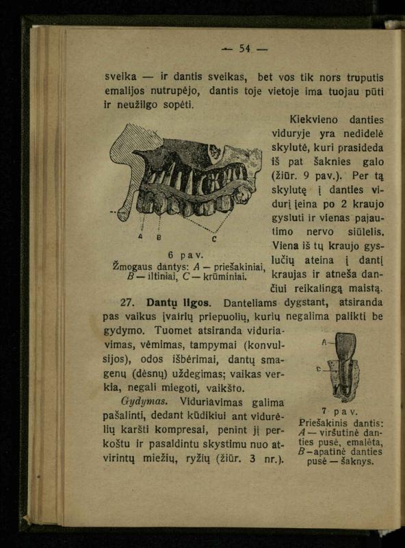 Naminis gydytojas: trumpas paprasčiausių ligų aprašymas ir jų gydymas / d-ras A. Vileišis. – 2-asis patais. leid. – Kaunas: „Švyturio“ b-vės leidinys, 1924. – 143 p.
