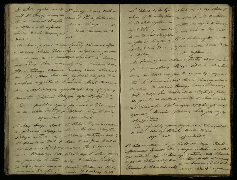 Pušaloto Romos katalikų parapijos bažnyčios 1847–1855 metų priešjungtuvinės apklausos knyga