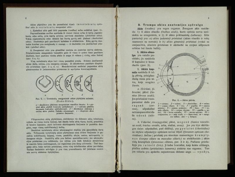 Akių ligų vadovas / Petras Avižonis. – Kaunas: Medicinos fakultetao leidinys, 1940. – VIII, 841, [2] p., 18 iliustr. lap.