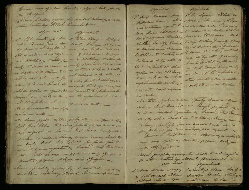 Pušaloto Romos katalikų parapijos bažnyčios 1847–1855 metų priešjungtuvinės apklausos knyga