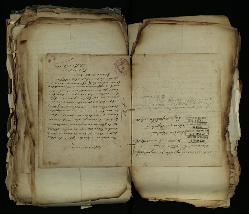 Pušaloto Romos katalikų parapijos bažnyčios 1884–1900 metų gaunamų raštų knyga