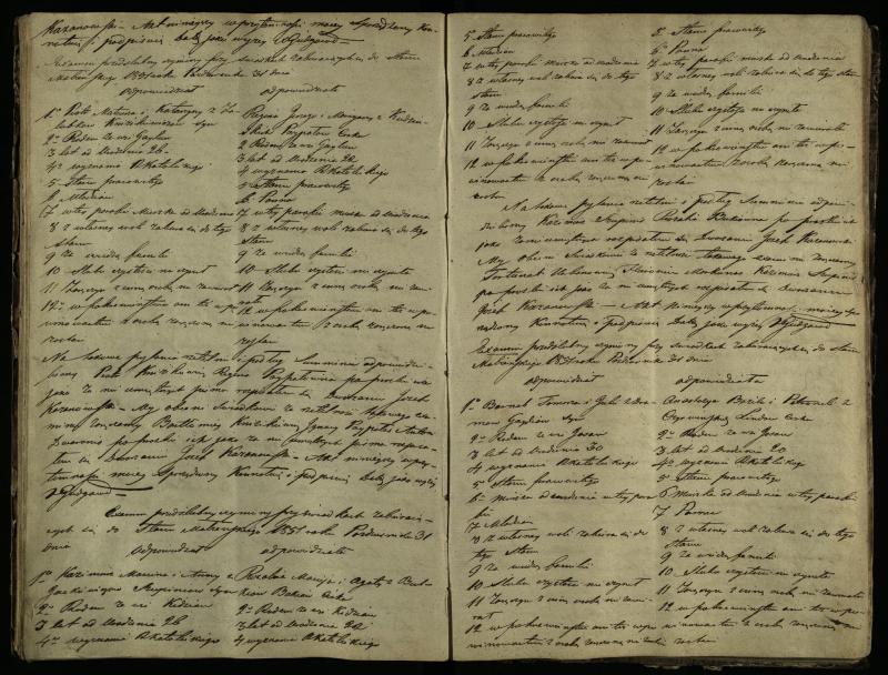 Pušaloto Romos katalikų parapijos bažnyčios 1847–1855 metų priešjungtuvinės apklausos knyga