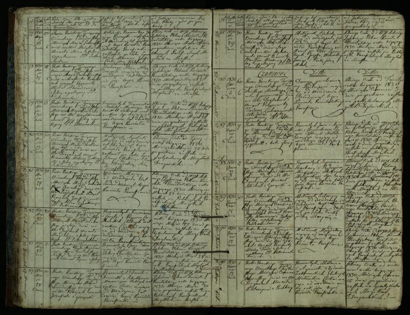 Pušaloto Romos katalikų parapijos bažnyčios 1828–1834 metų mirties metrikų knyga