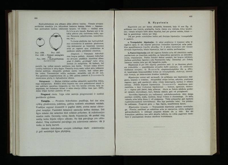 Akių ligų vadovas / Petras Avižonis. – Kaunas: Medicinos fakultetao leidinys, 1940. – VIII, 841, [2] p., 18 iliustr. lap.