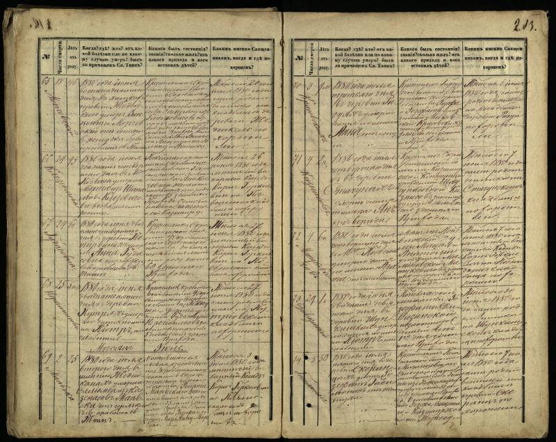 Pasvalio Romos katalikų parapijos bažnyčios 1866–1881 metų mirties metrikų knyga