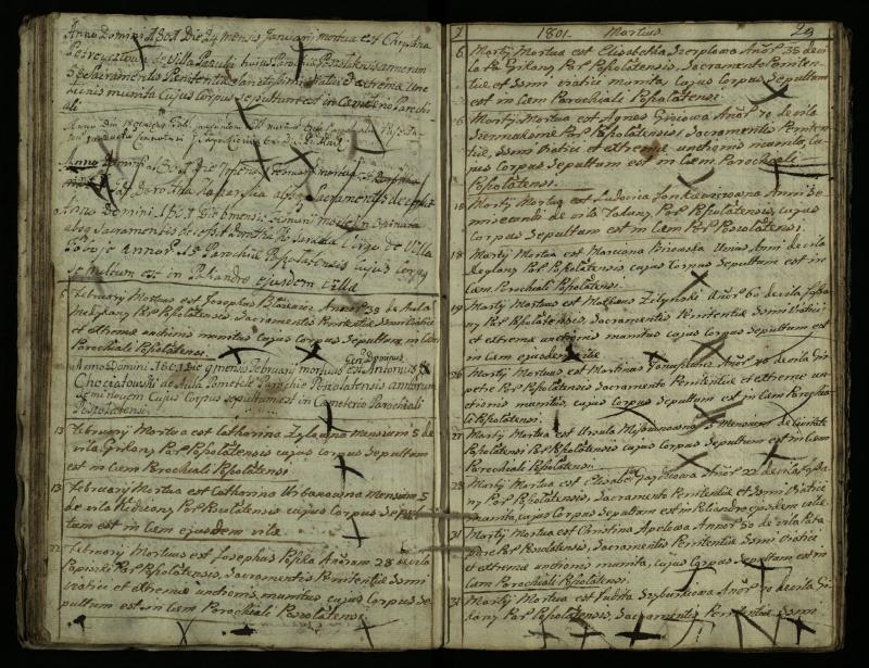Pušaloto Romos katalikų parapijos bažnyčios 1785–1810 metų mirties metrikų knyga