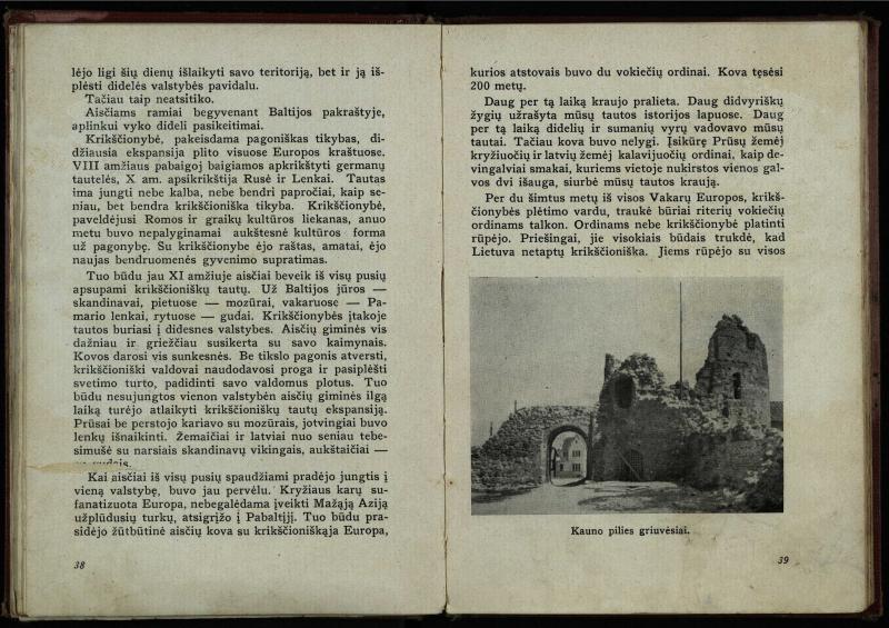 Naujoji Lietuva