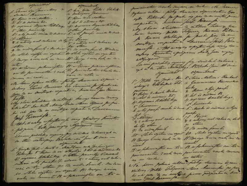 Pušaloto Romos katalikų parapijos bažnyčios 1847–1855 metų priešjungtuvinės apklausos knyga