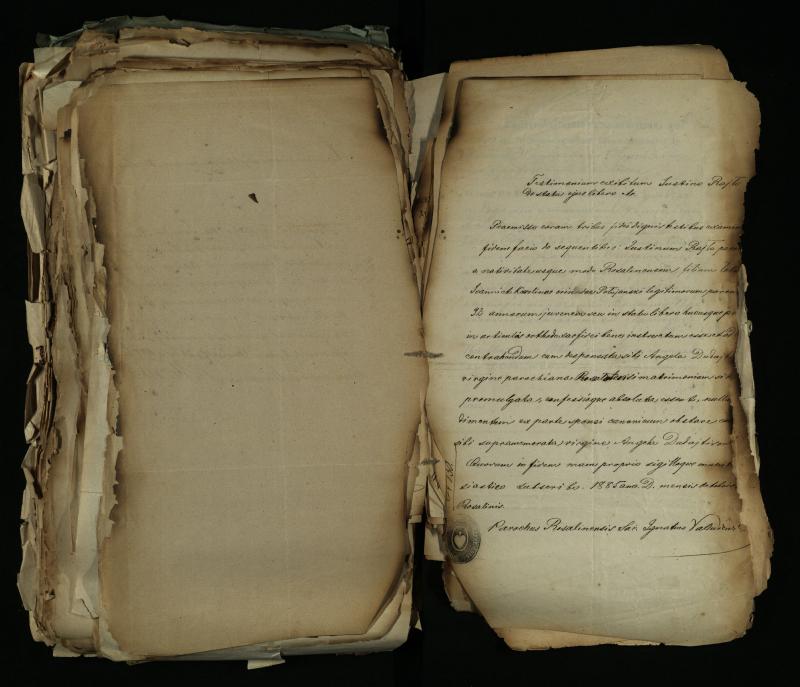 Pušaloto Romos katalikų parapijos bažnyčios 1884–1900 metų gaunamų raštų knyga
