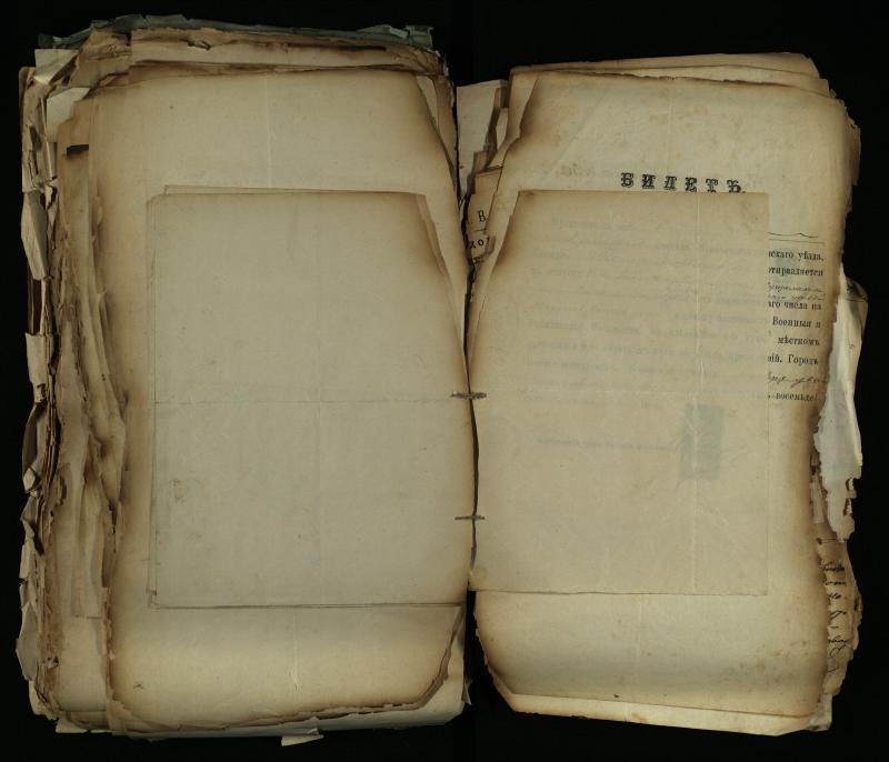 Pušaloto Romos katalikų parapijos bažnyčios 1884–1900 metų gaunamų raštų knyga