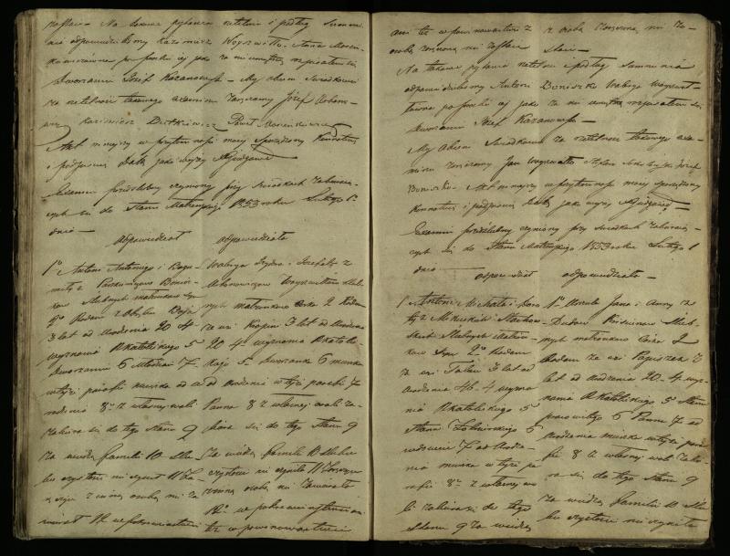 Pušaloto Romos katalikų parapijos bažnyčios 1847–1855 metų priešjungtuvinės apklausos knyga