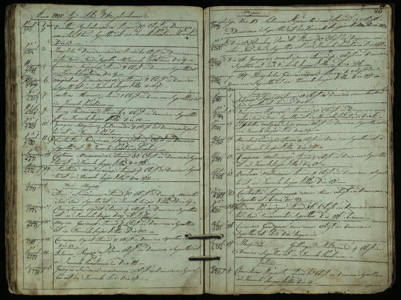 Pasvalio Romos katalikų parapijos bažnyčios 1794–1819 metų mirties metrikų knyga