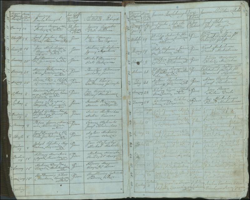 Krinčino Romos katalikų parapijos bažnyčios 1803–1826 metų jungtuvių metrikų knyga