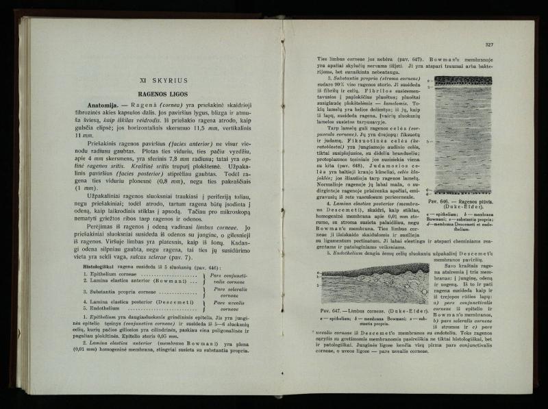 Akių ligų vadovas / Petras Avižonis. – Kaunas: Medicinos fakultetao leidinys, 1940. – VIII, 841, [2] p., 18 iliustr. lap.