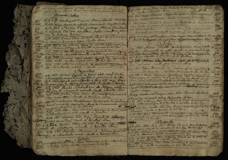 Pasvalio Romos katalikų parapijos bažnyčios 1776–1788 metų mirties metrikų knyga