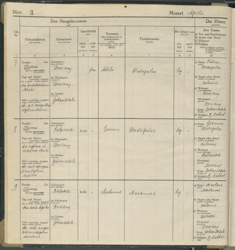 Daujėnų Romos katalikų parapijos bažnyčios 1917–1918 metų krikšto metrikų knyga