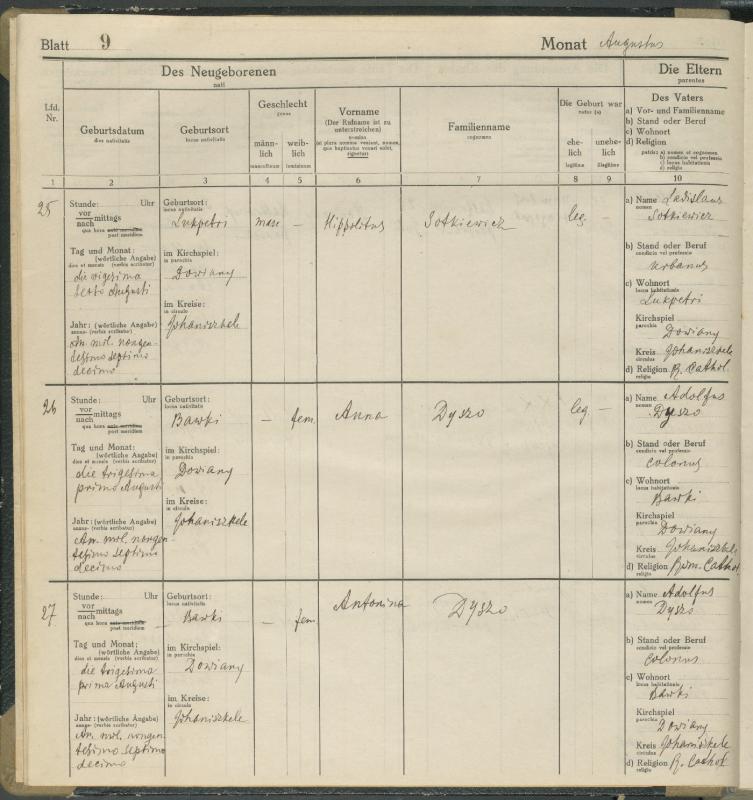 Daujėnų Romos katalikų parapijos bažnyčios 1917–1918 metų krikšto metrikų knyga