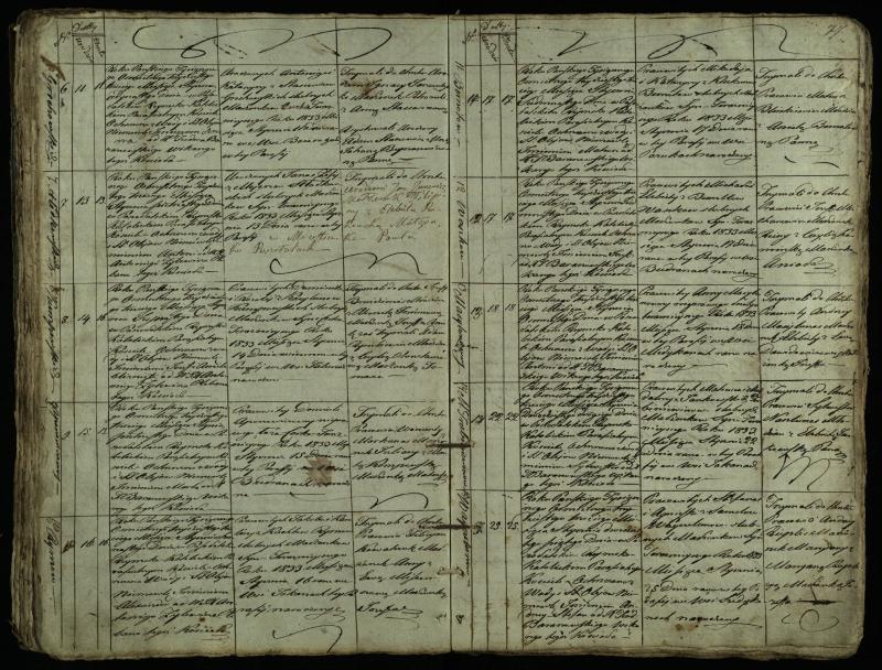 Pušaloto Romos katalikų parapijos bažnyčios 1828–1834 metų krikšto metrikų knyga
