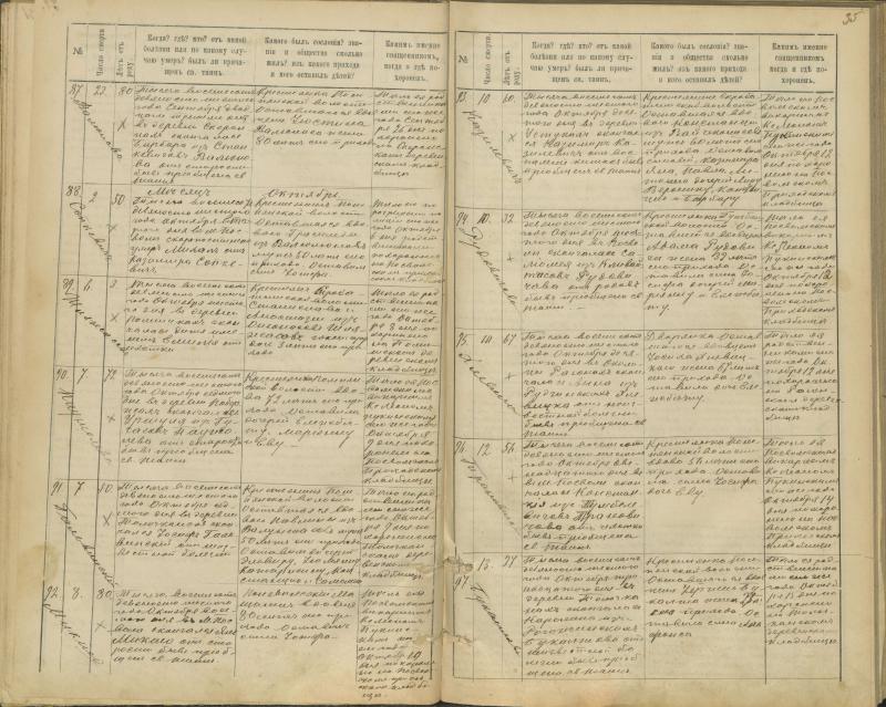 Pasvalio Romos katalikų parapijos bažnyčios 1894–1907 metų mirties metrikų knyga