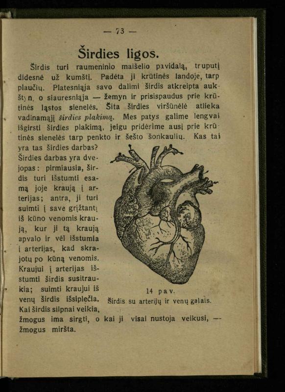 Naminis gydytojas: trumpas paprasčiausių ligų aprašymas ir jų gydymas / d-ras A. Vileišis. – 2-asis patais. leid. – Kaunas: „Švyturio“ b-vės leidinys, 1924. – 143 p.