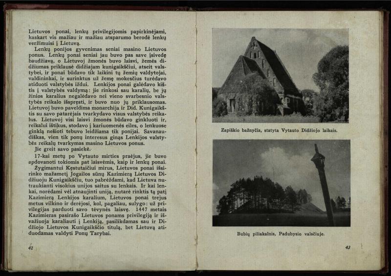 Naujoji Lietuva