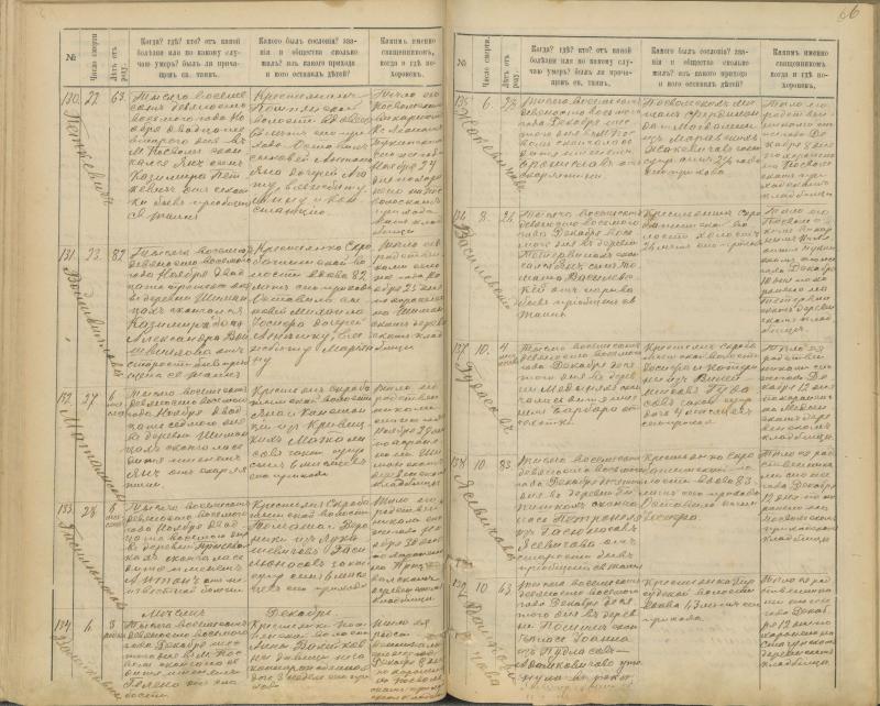 Pasvalio Romos katalikų parapijos bažnyčios 1894–1907 metų mirties metrikų knyga