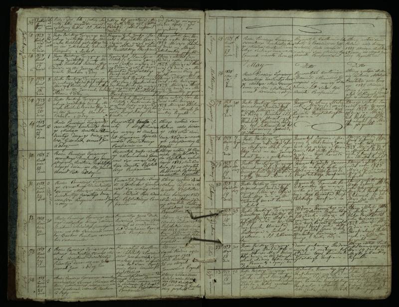 Pušaloto Romos katalikų parapijos bažnyčios 1828–1834 metų mirties metrikų knyga