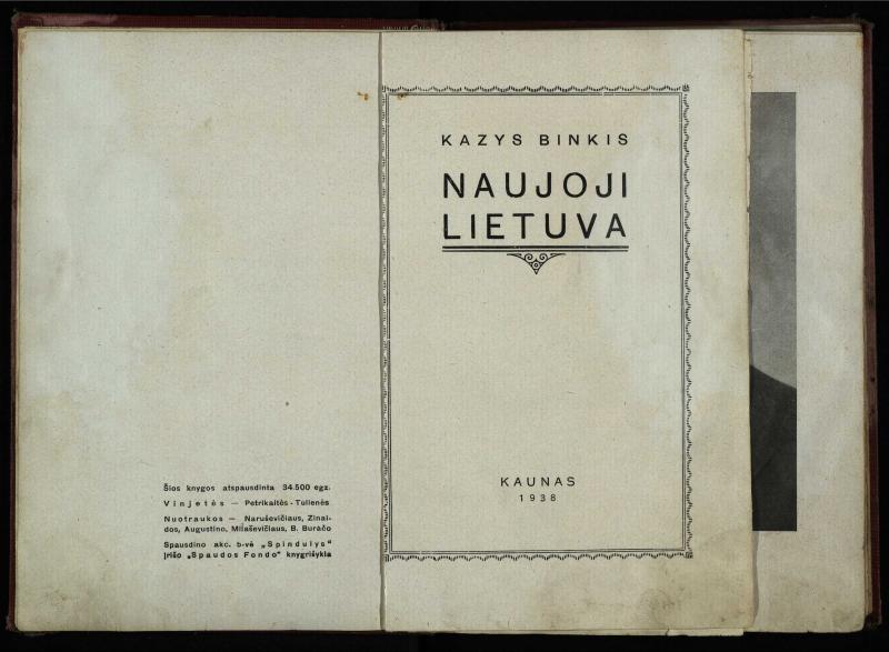 Naujoji Lietuva