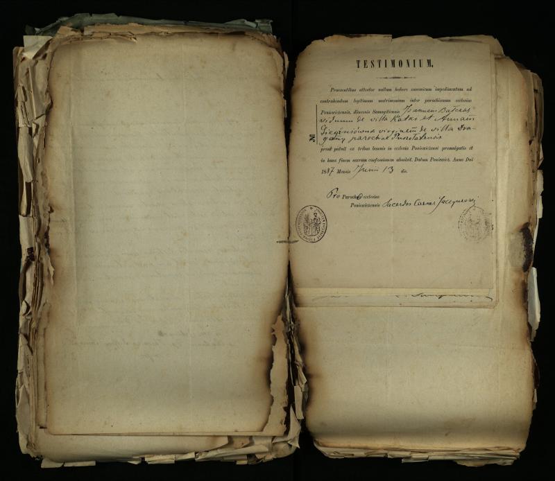 Pušaloto Romos katalikų parapijos bažnyčios 1884–1900 metų gaunamų raštų knyga