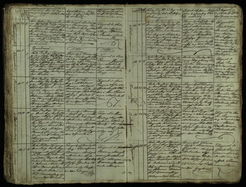 Pušaloto Romos katalikų parapijos bažnyčios 1828–1834 metų krikšto metrikų knyga