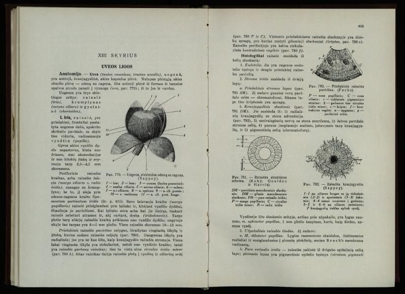 Akių ligų vadovas / Petras Avižonis. – Kaunas: Medicinos fakultetao leidinys, 1940. – VIII, 841, [2] p., 18 iliustr. lap.