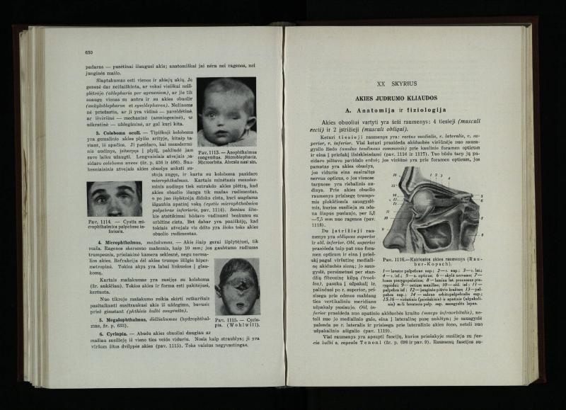 Akių ligų vadovas / Petras Avižonis. – Kaunas: Medicinos fakultetao leidinys, 1940. – VIII, 841, [2] p., 18 iliustr. lap.