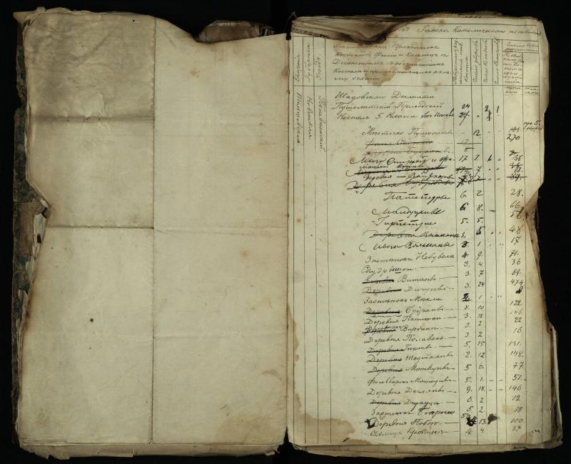 Pušaloto Romos katalikų parapijos bažnyčios 1843–1879 metų gaunamų raštų knyga