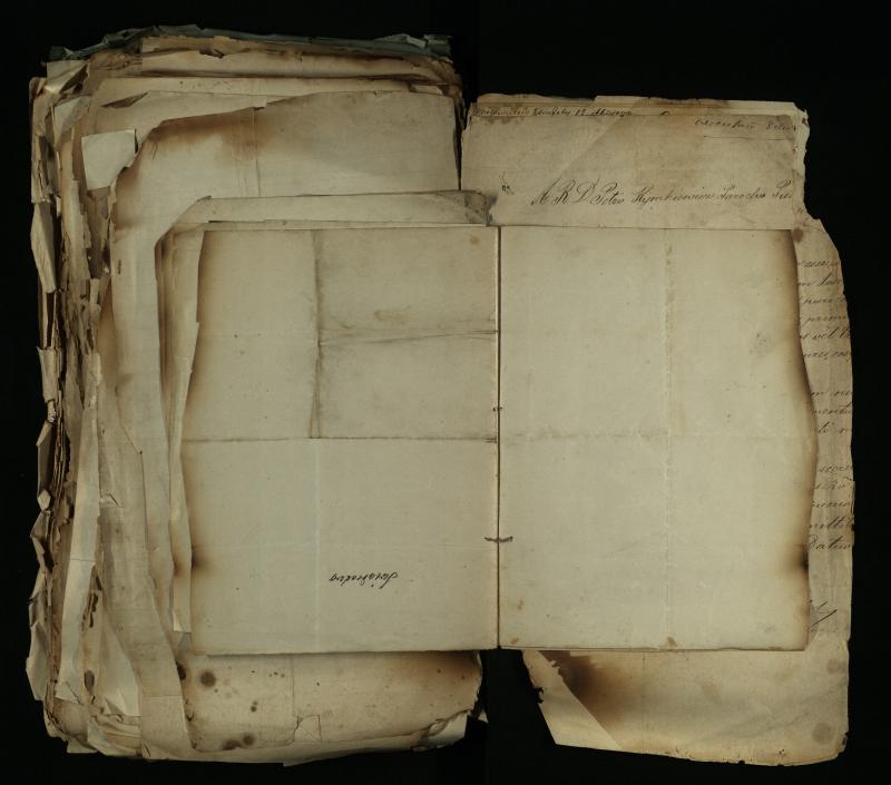 Pušaloto Romos katalikų parapijos bažnyčios 1884–1900 metų gaunamų raštų knyga