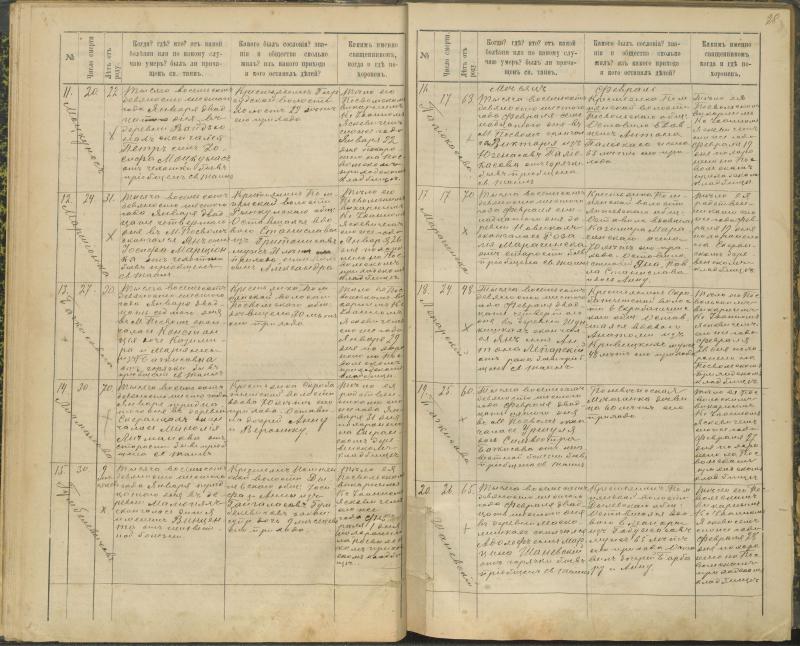 Pasvalio Romos katalikų parapijos bažnyčios 1894–1907 metų mirties metrikų knyga