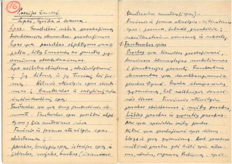 Rašytojo, savaitraščio „Tėviškės Žiburiai“ redaktoriaus Česlovo Senkevičiaus parengta literatūros teorijos pradmenų santrauka